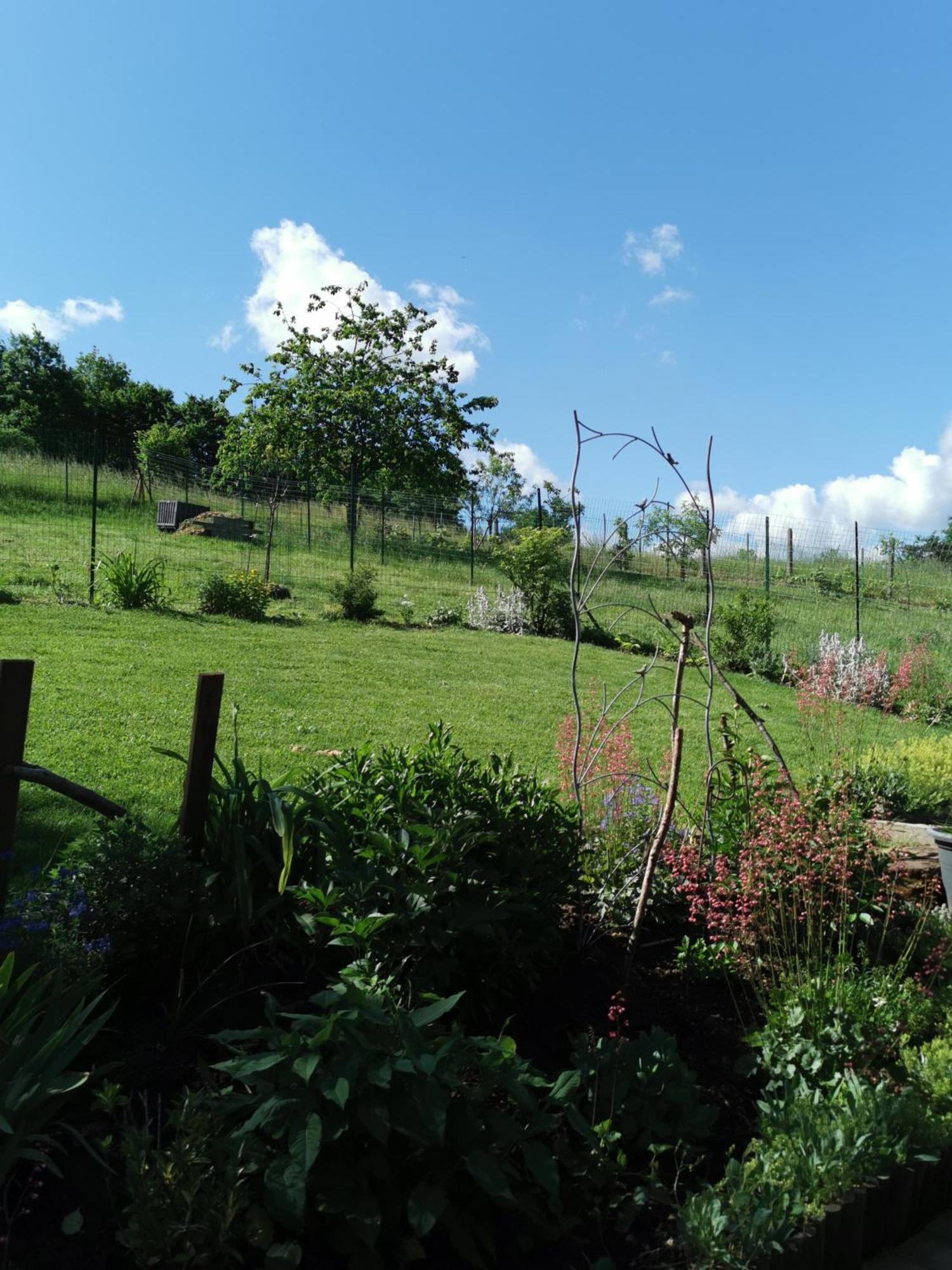 Gite Clos Angelique Haselbourg Exterior foto